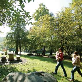 Family Walking in Park