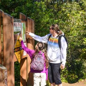 Waxmyrtle Trailhead on the Oregon Coast by Melanie Griffin