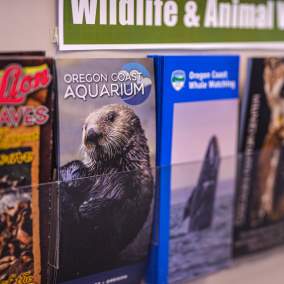 A rack of brochures on wildlife and animal viewing.