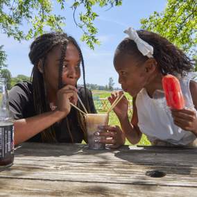 Two young girls share a root beer float with two straws. The younger one holds a popsicle. There is green farmlands behind them.