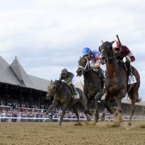 Dornoch at the Belmont Stakes 2024