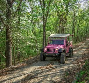 Pink Jeep Tours Spring Attraction
