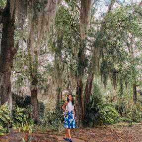 Woman looking up at the trees in Big Thicket