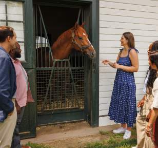 Horse Farm Tours