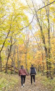 Fall Things to Do