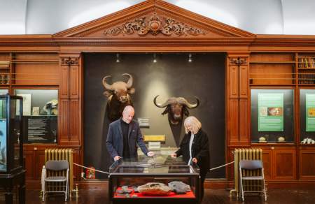 A man and woman looking in a display cabinet in an ornate room.