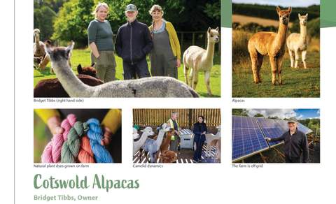 Cotswold Alpacas SC case study