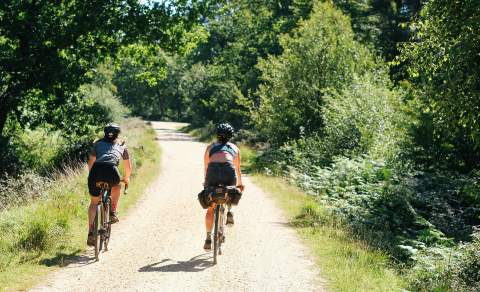 2 people cycling along path in the New Forest