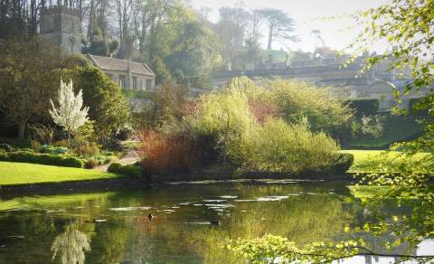 Reflections in the Lower Pool at Dyrham Park