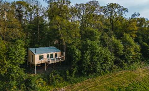 Elmore Court treehouse in a wood clearing
