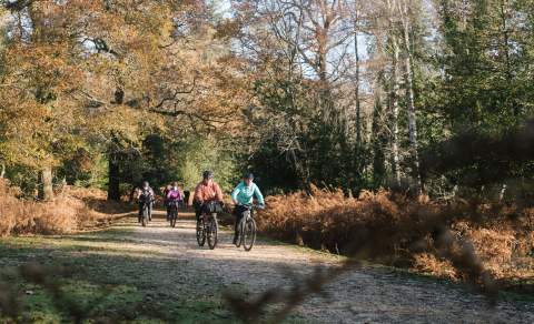 Guided cycling with The New Forest Off Road Club