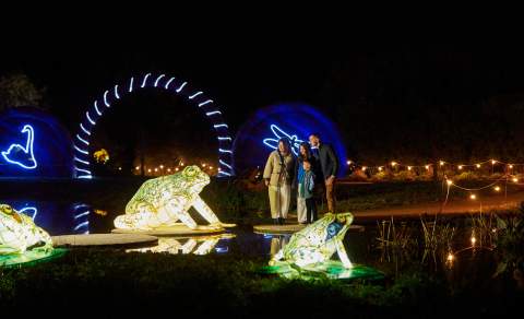 Illuminated wildlife sculptures and visitors enjoying a night-time light trail at WWT Slimbridge in the Cotswolds.