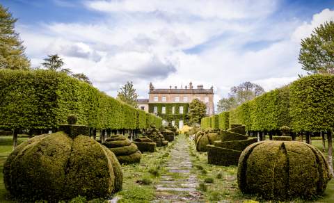 A mossy path flanked by hedges leads to Highgrove in the distance