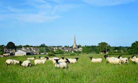 A view across fields towards Tetbury