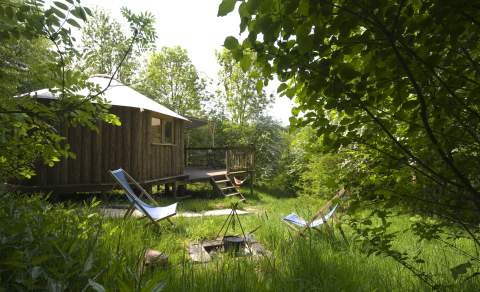 Two chairs sit around a fire pit outside a wooden cabin, which is surrounded by trees