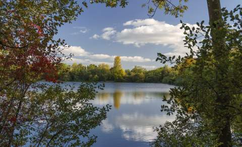 A lake glistens in the sun surrounded by trees and bushes