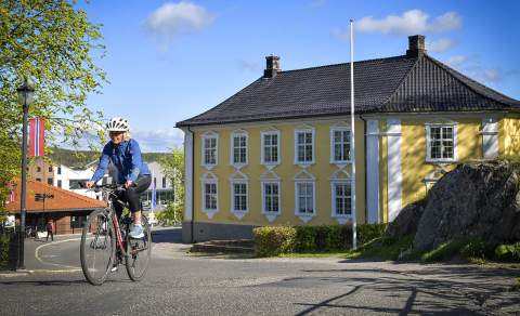Sykle unionsleden