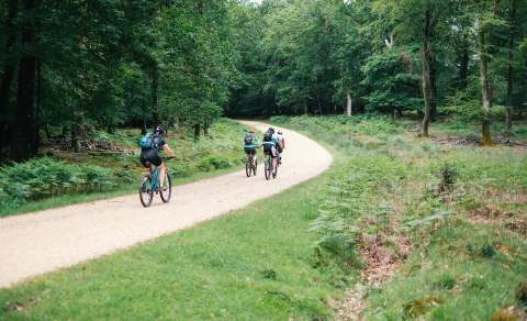 The Woods Cyclery - Group riding