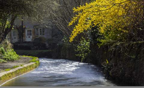 Blockley in the Spring