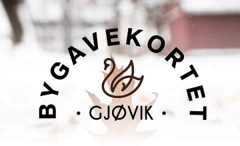 Illustrasjon av bygavekortet til Gjøvik sentrum