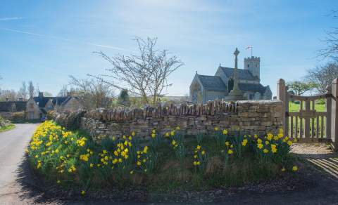 Swinbrook Church with stone wall and daffodils in the foreground