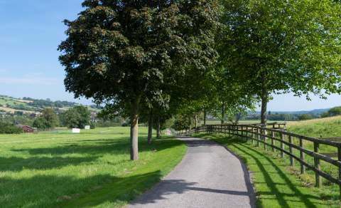 A tree-lined, quiet countryside road stretches through green fields