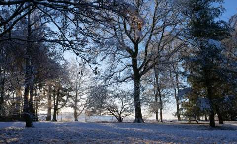 The sun setting through snow covered trees at Hidcote