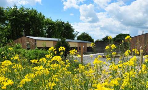 Wooden accommodation barns with courtyard gardens viewed from a distance through bright yellow flowers at Notgrove Holidays in the Cotswolds