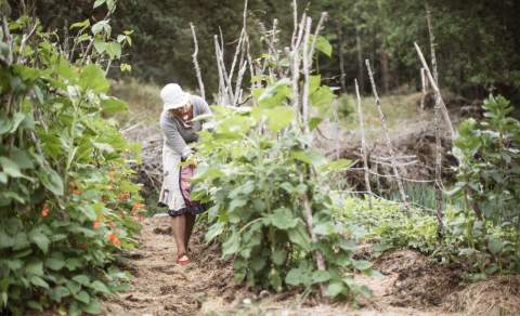 Dame i grønnsakshage