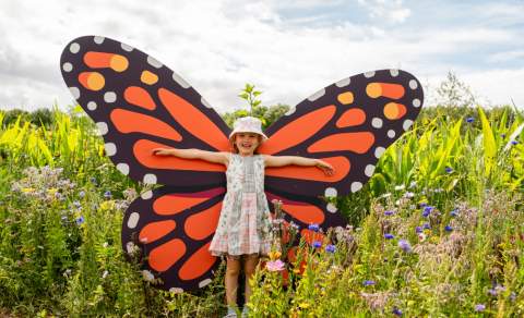 A young girl in front of a giant painted butterfly at Cotswold Farm Park's Flower Festival