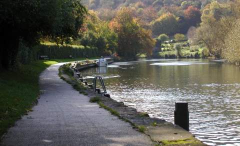 Goring Trail