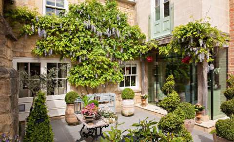 A cottage courtyard garden with wisteria growing up the house and topiary bushes dotted around the patio