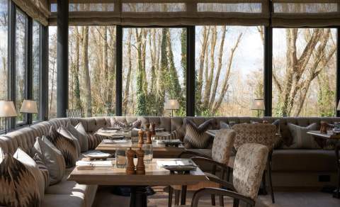 Panoramic views of trees through the large windows with muted-toned dining area at Hook