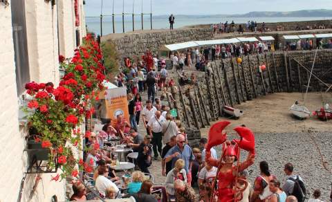 North devon Whats On