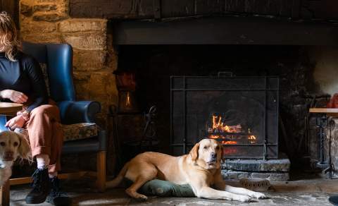 A dog sat in front of the fire with his owner sat in a chair and another dog next to her
