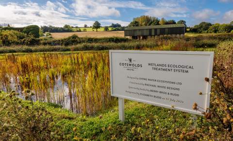 The Cotswolds Distillery Wetlands Ecological Treatment System, a pond in the foreground surrounded by hedgerow-lined fields