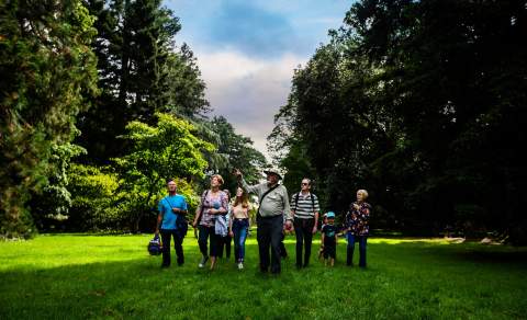 A tour group led by a guide at Westonbirt Arboretum
