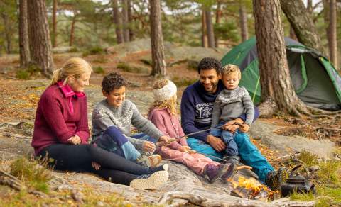 A family on an outing in the forest, grilling sausages.