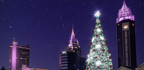 Tall Christmas tree with lights in front of high rise buildings