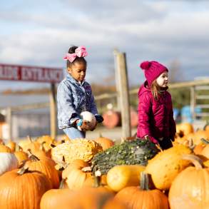 Roba Family Farms