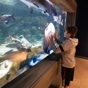 Electric City Aquarium