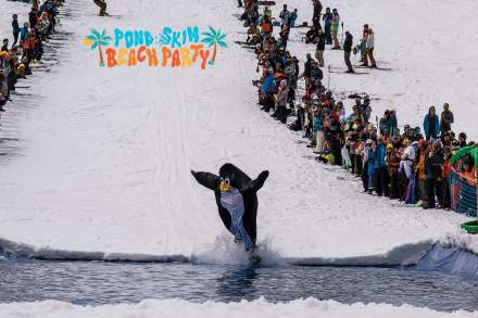 Person in a penguin suit skiing across a pond