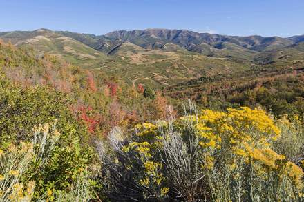 emigrationcanyon-28-Views_from_Emigration_Canyon_Road