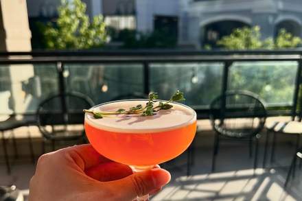 Image of someone holding a cocktail up at the Seabird Bar