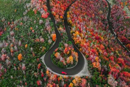 Wide angle image of Guardsman pass in the fall taken by photograher, Michael Truong.