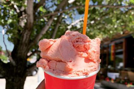 Image of gelato from Dolcetti Gelato in Salt Lake.