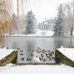 Children's Lake Winter