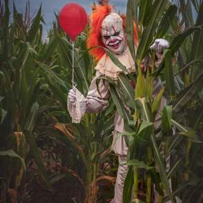 corn maze clown