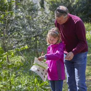 a man and child looking at a map by trees in countryside