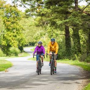 Two people cycling through a forest on a path